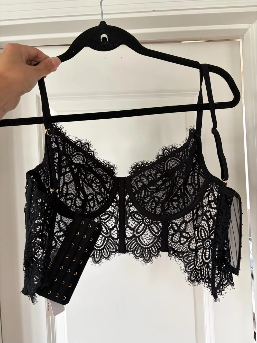 NWT Anthropologie lace bustier - Picture 3 of 12